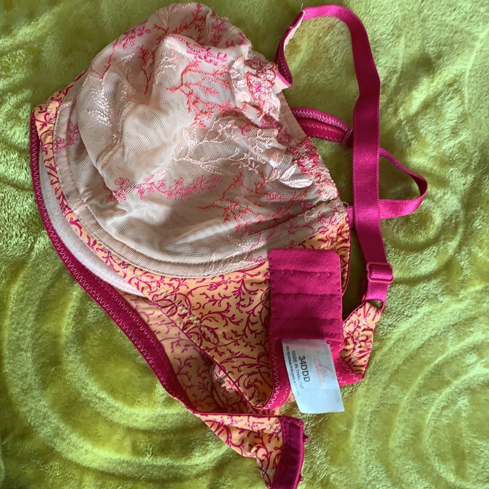 Whimsy Bra - image 3